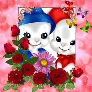 Meet your Posher, Pinta